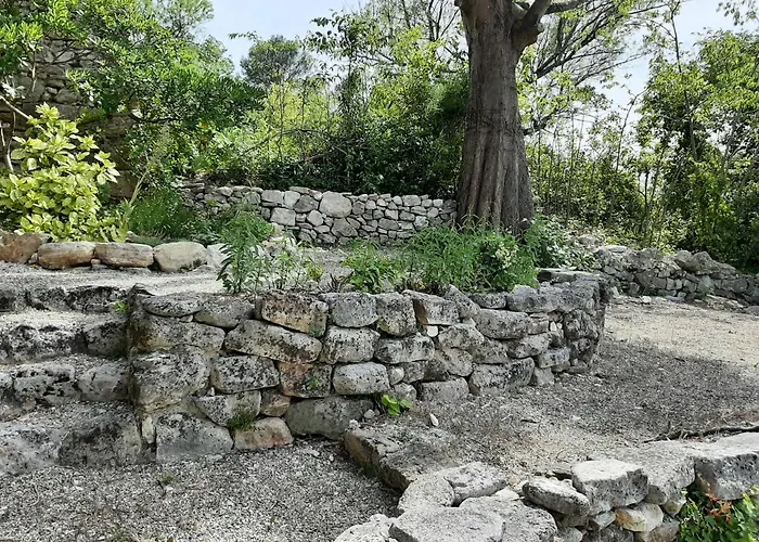 Roses * Saint-André-de-Roquepertuis